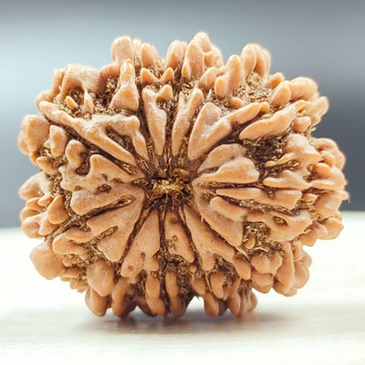 11 mukhi