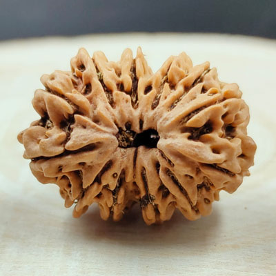 12 mukhi