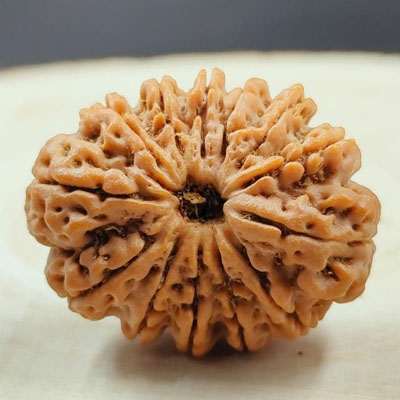 13 mukhi