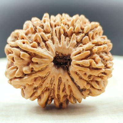 15 mukhi