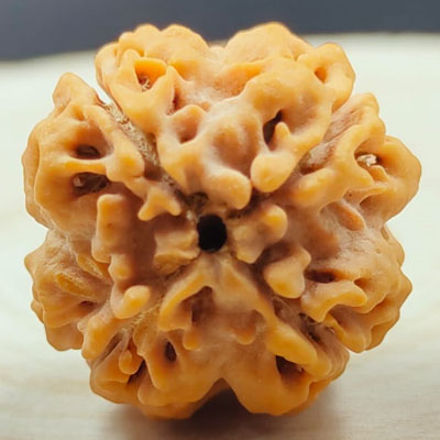 4 mukhi