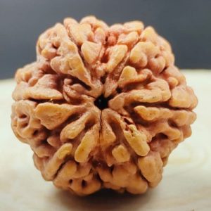 6mukhi