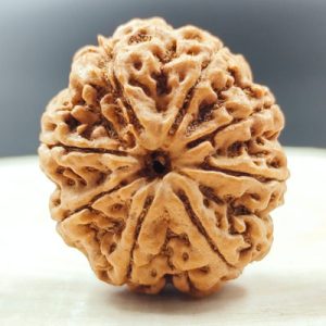 8 mukhi