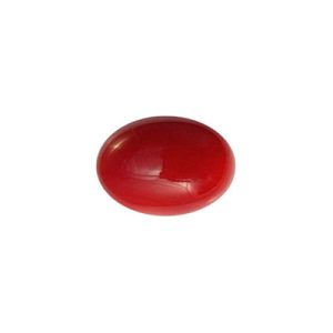 red coral