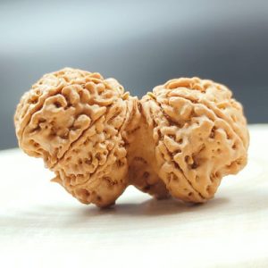 gauri-ganesh-rudraksha