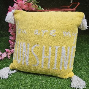 cushion